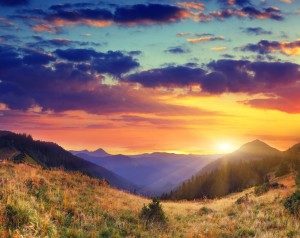 sunrise medium