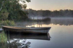 morninglake