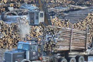 Millar Western Forest Products Ltd