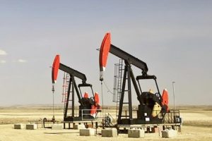 PetroShale Inc