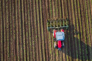 Tractor cultivating field at spring