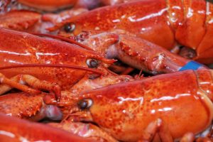 Ready Seafood Co