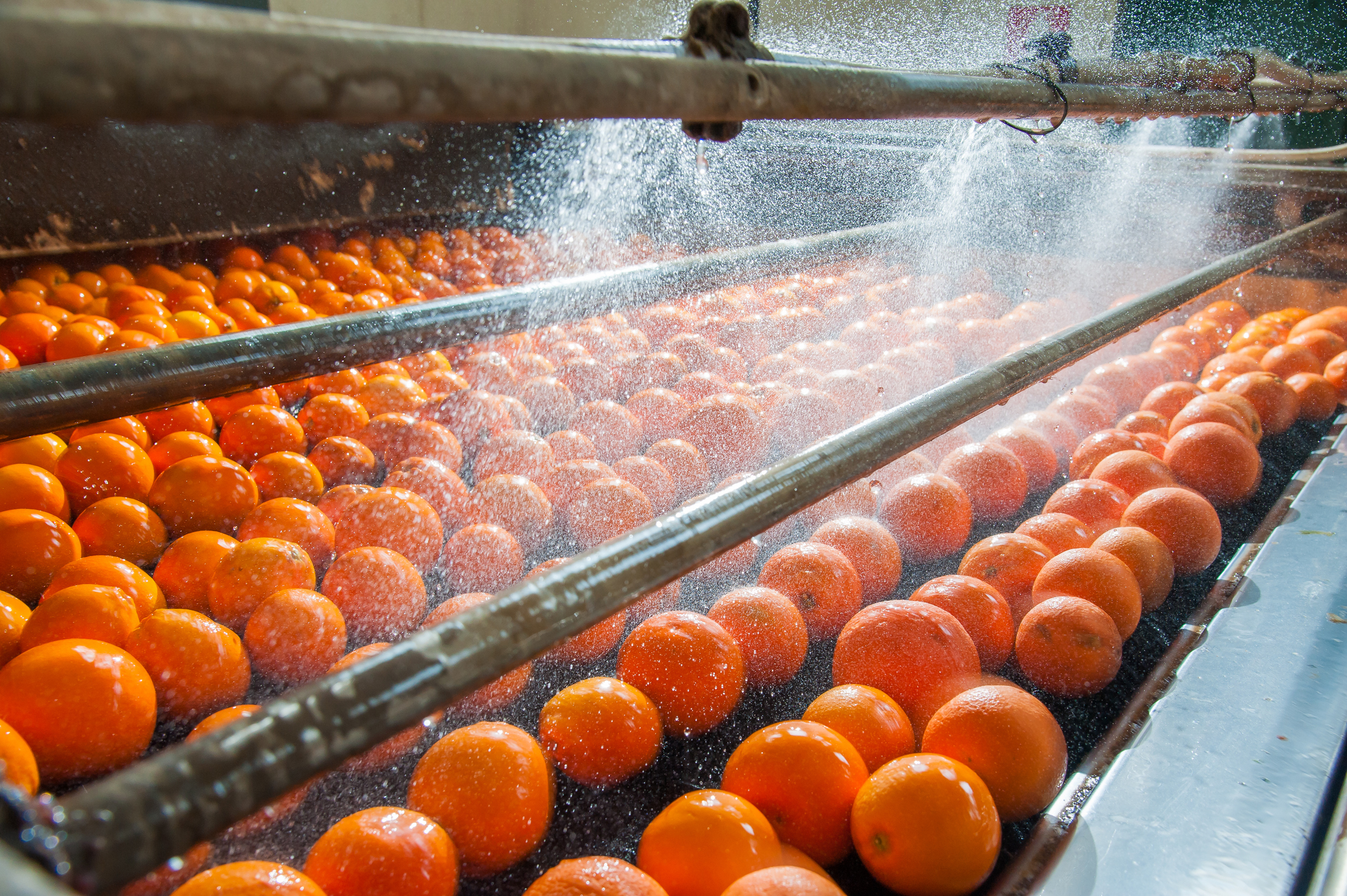 KKR-backed Fortifi Food Processing extends buying spree; DuPont, Venator to test market for Viance