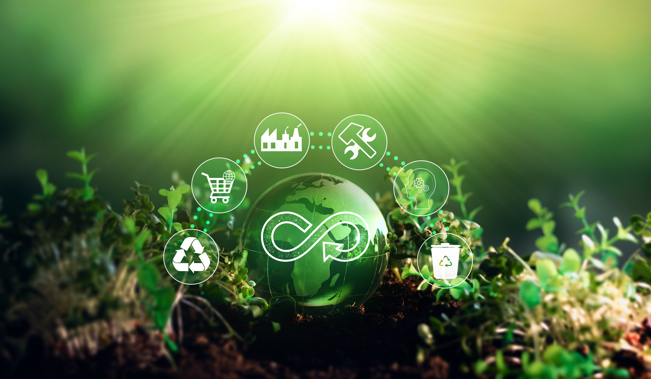 Powering up with anaerobic digestion assets: a summer of bioenergy ...