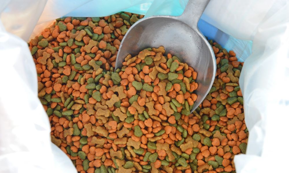 PAI Partners' Alphia purchase shows PE still loves pets | PE Hub