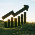 Sustainable growth chart