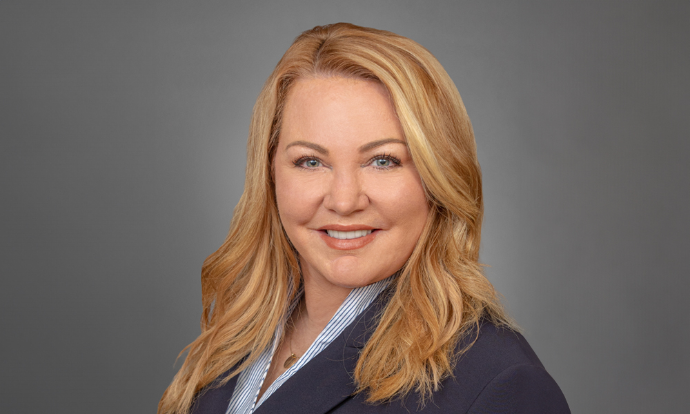 Falfurrias seeks addons for IT procurement specialist NPI PE Hub