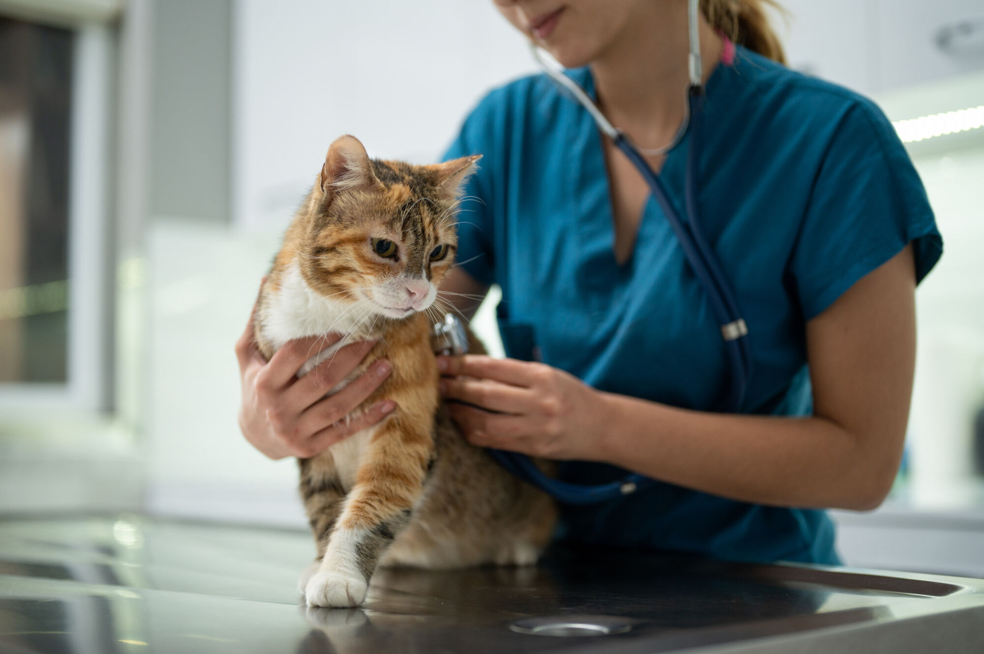 pehub.com - Craig McGlashan - Charterhouse agrees Animalcare take-private as vet pharma sector sees high pet ownership but increasing scrutiny; Eurazeo targets Mittelstand with Munich office