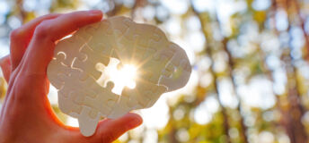 Hand holding a puzzle piece shaped like a brain, sunlight shining through in a forest setting.