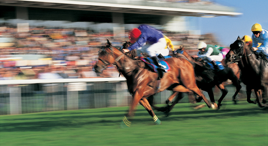 PE spots diverse opportunities in equine healthcare: 5 deals